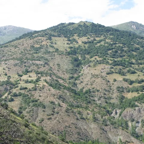 2009 Köy ve Yayla — fotoğraf 50