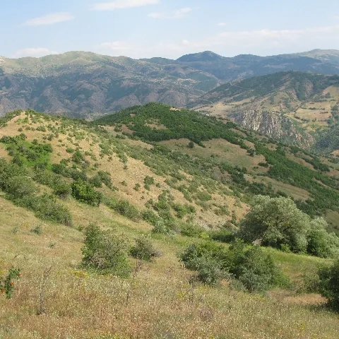 2009 Köy ve Yayla — fotoğraf 54