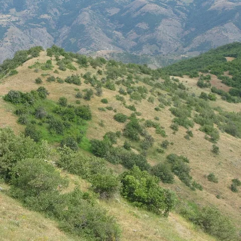 2009 Köy ve Yayla — fotoğraf 55