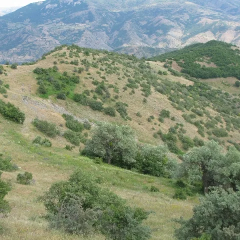2009 Köy ve Yayla — fotoğraf 56