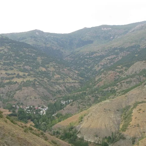 2009 Köy ve Yayla — fotoğraf 59