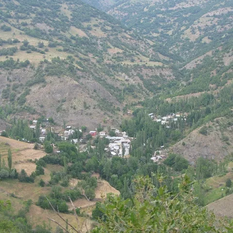 2009 Köy ve Yayla — fotoğraf 60