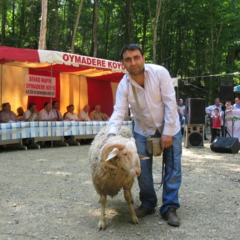 2010 Piknik — fotoğraf 22