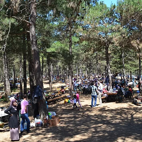 2012 Piknik — fotoğraf 3
