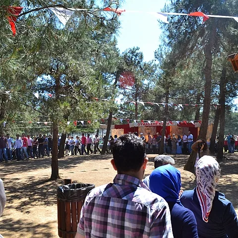 2012 Piknik — fotoğraf 4