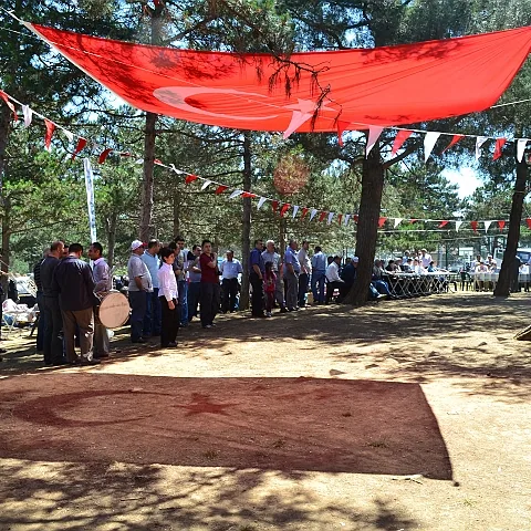 2012 Piknik — fotoğraf 7
