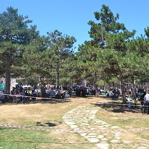 2012 Piknik — fotoğraf 8