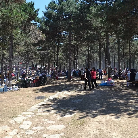 2012 Piknik — fotoğraf 11
