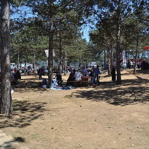 2012 Piknik — fotoğraf 12