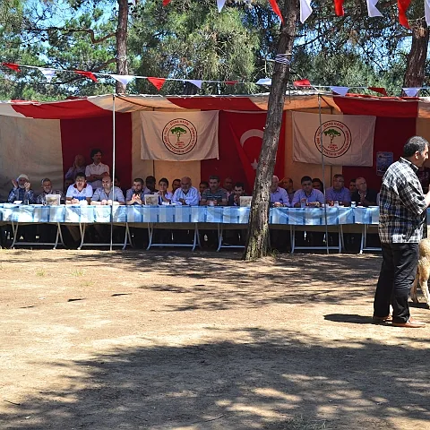 2012 Piknik — fotoğraf 14