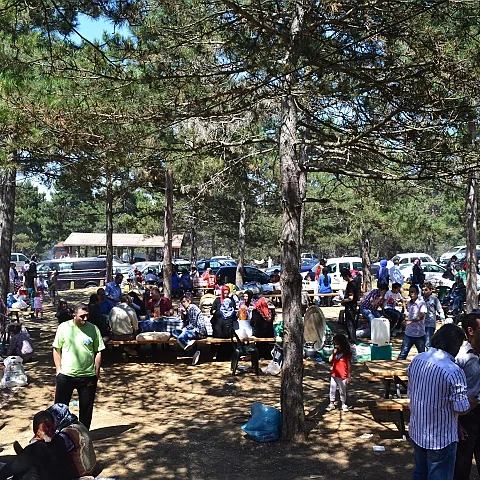 2012 Piknik — fotoğraf 15