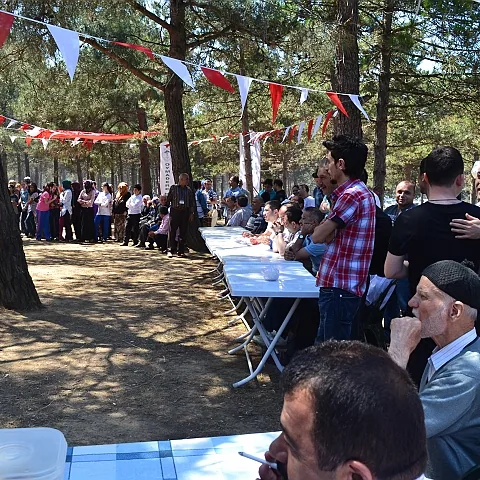 2012 Piknik — fotoğraf 16