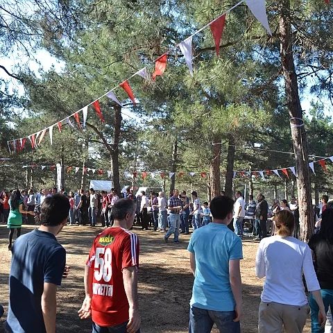 2012 Piknik — fotoğraf 28