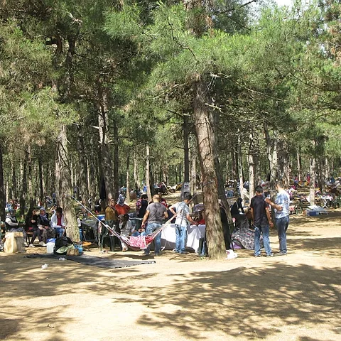 2012 Piknik — fotoğraf 37