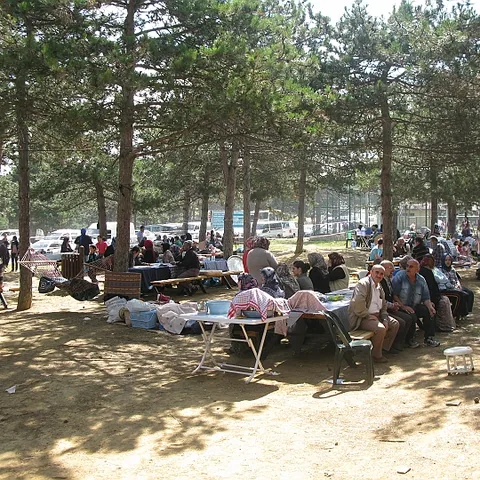 2012 Piknik — fotoğraf 39