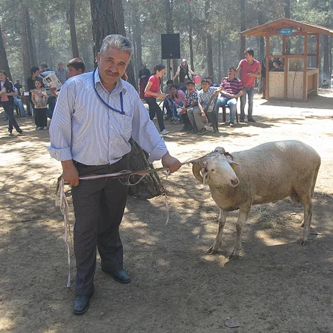 2012 Piknik — fotoğraf 75