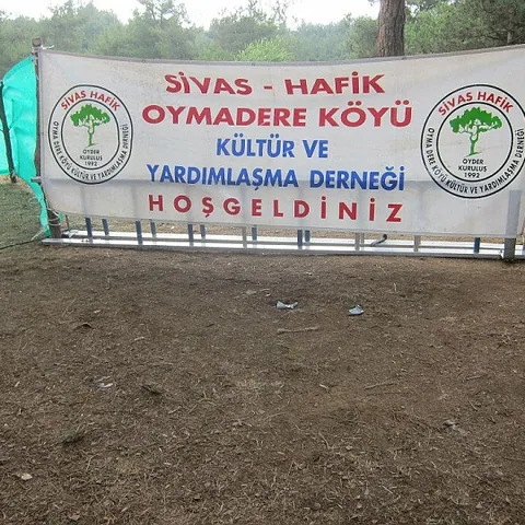 2013 Piknik — fotoğraf 5