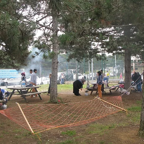 2014 Piknik — fotoğraf 1