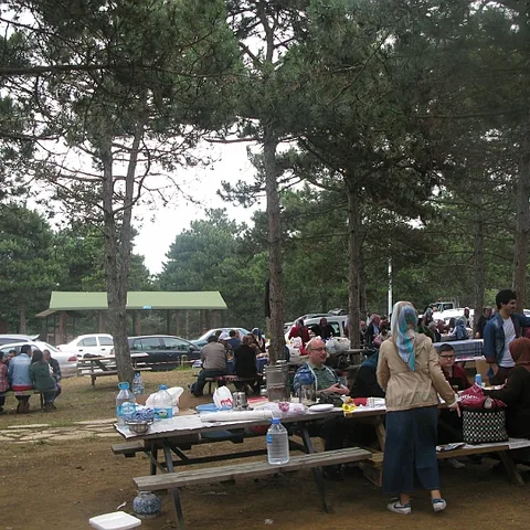 2014 Piknik — fotoğraf 3