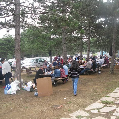 2014 Piknik — fotoğraf 4