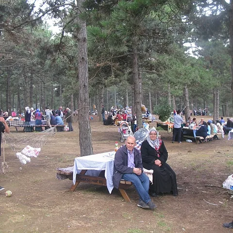 2014 Piknik — fotoğraf 6
