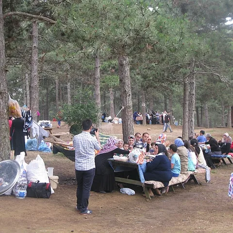 2014 Piknik — fotoğraf 7