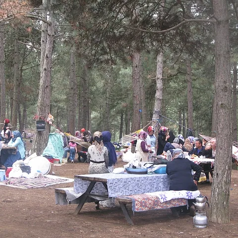 2014 Piknik — fotoğraf 8