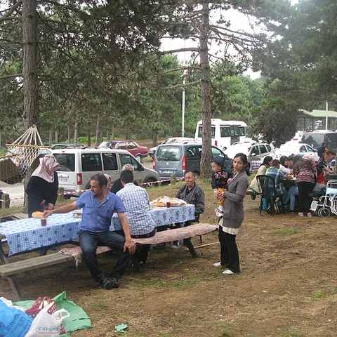 2014 Piknik — fotoğraf 11