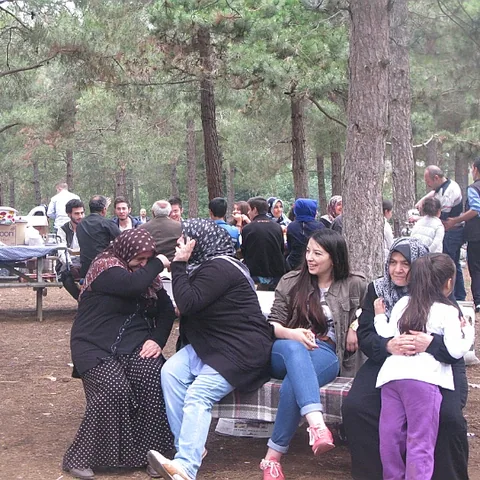 2014 Piknik — fotoğraf 13