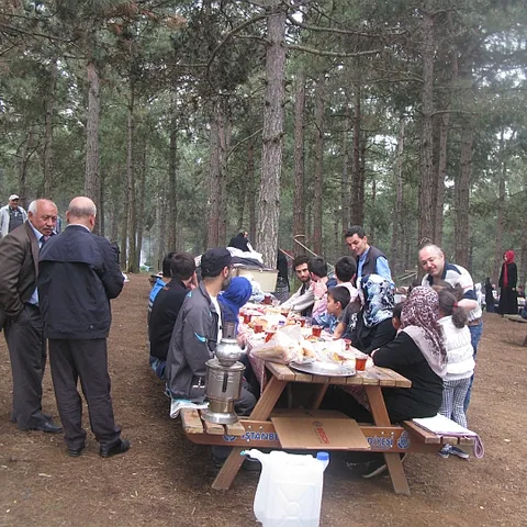 2014 Piknik — fotoğraf 15