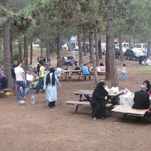 2014 Piknik — fotoğraf 16