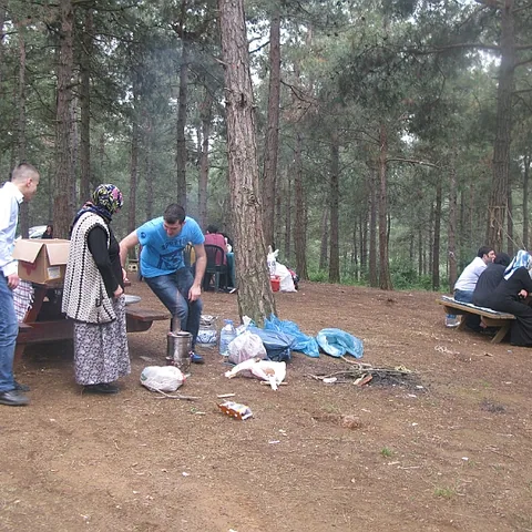 2014 Piknik — fotoğraf 17