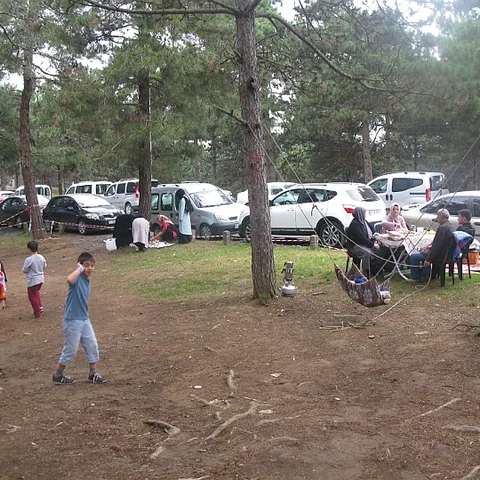 2014 Piknik — fotoğraf 21