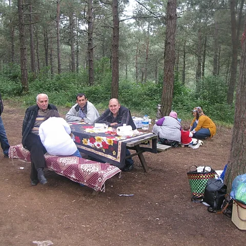 2014 Piknik — fotoğraf 24