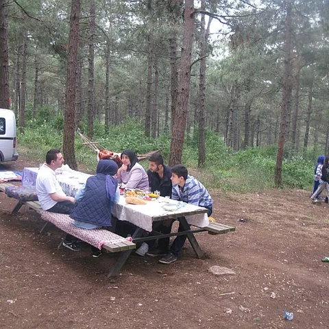 2014 Piknik — fotoğraf 26