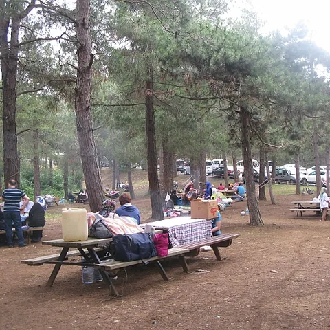 2014 Piknik — fotoğraf 28