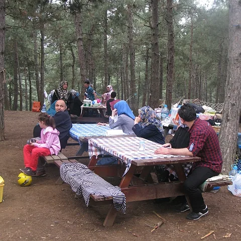 2014 Piknik — fotoğraf 30