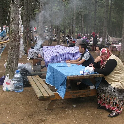 2014 Piknik — fotoğraf 31