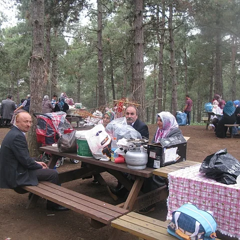 2014 Piknik — fotoğraf 33