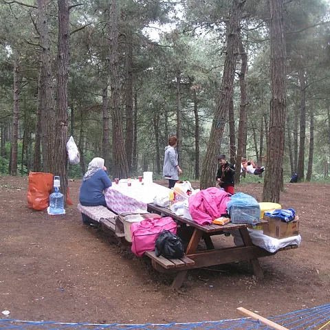 2014 Piknik — fotoğraf 36
