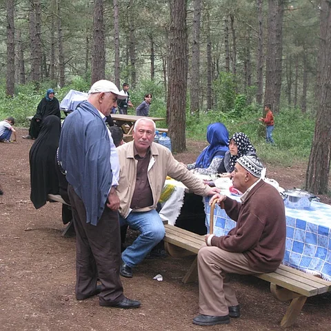2014 Piknik — fotoğraf 38