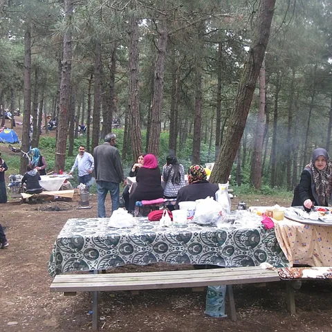 2014 Piknik — fotoğraf 43