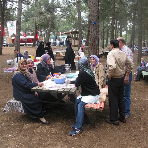 2014 Piknik — fotoğraf 47