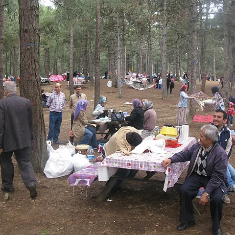 2014 Piknik — fotoğraf 53