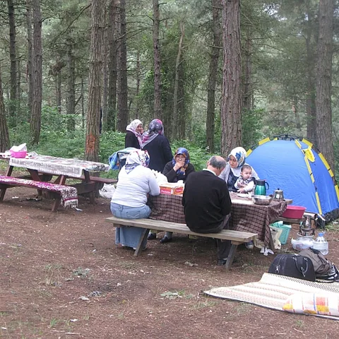 2014 Piknik — fotoğraf 54