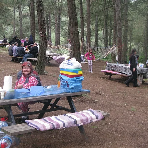 2014 Piknik — fotoğraf 55