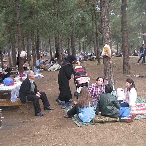 2014 Piknik — fotoğraf 62