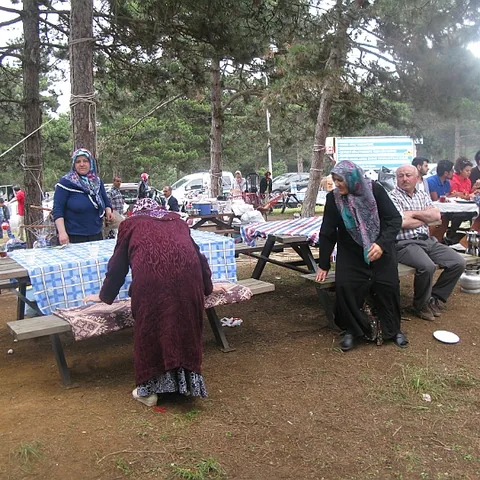 2014 Piknik — fotoğraf 77