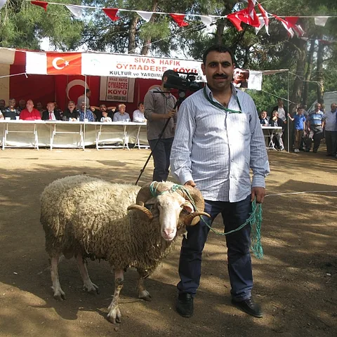 2014 Piknik — fotoğraf 159