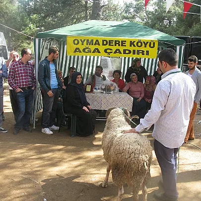 2014 Piknik — fotoğraf 173